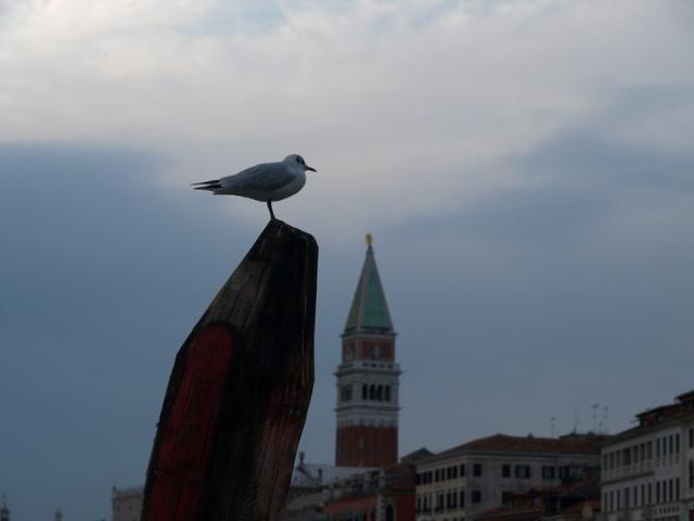 Venezia 07 : PB170928.JPG