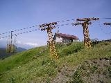 Santo Stefano Aveto (GE) / Cestovia Cabinovia Monte Bue : SanStefanoAveto-MonteBue_Marchisio_1964_3_byMartagon.jpg