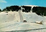 Castello Tesino (TN) / Cestovia Monte Agaro : Anni 1960: Skilift e Cestovia Monte Agaro al Passo Brocon nel comune di Castello Tesino