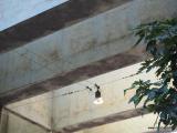 Foto Documentation August 2015 : genova_ponte_morandi_035_2015-08-08 14-09_resize.jpg