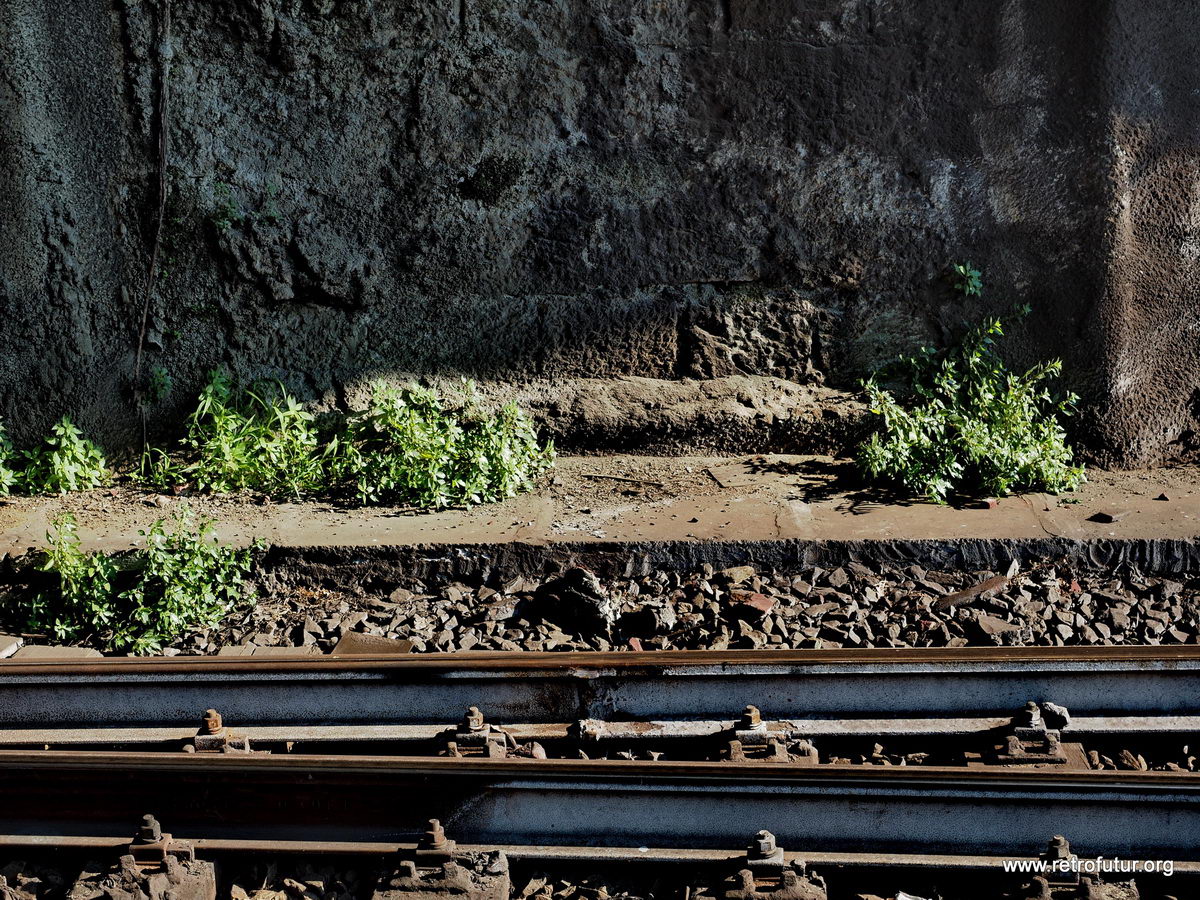 Genova Stazione Principe : genova_stazione_principe_x005_2015-08-07 17-09.jpg