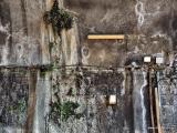 genova_stazione_principe_x005_2015-08-07 17-10.jpg (114.49 KByte) Genova Stazione Principe : genova_stazione_principe_x005_2015-08-07 17-10.jpg