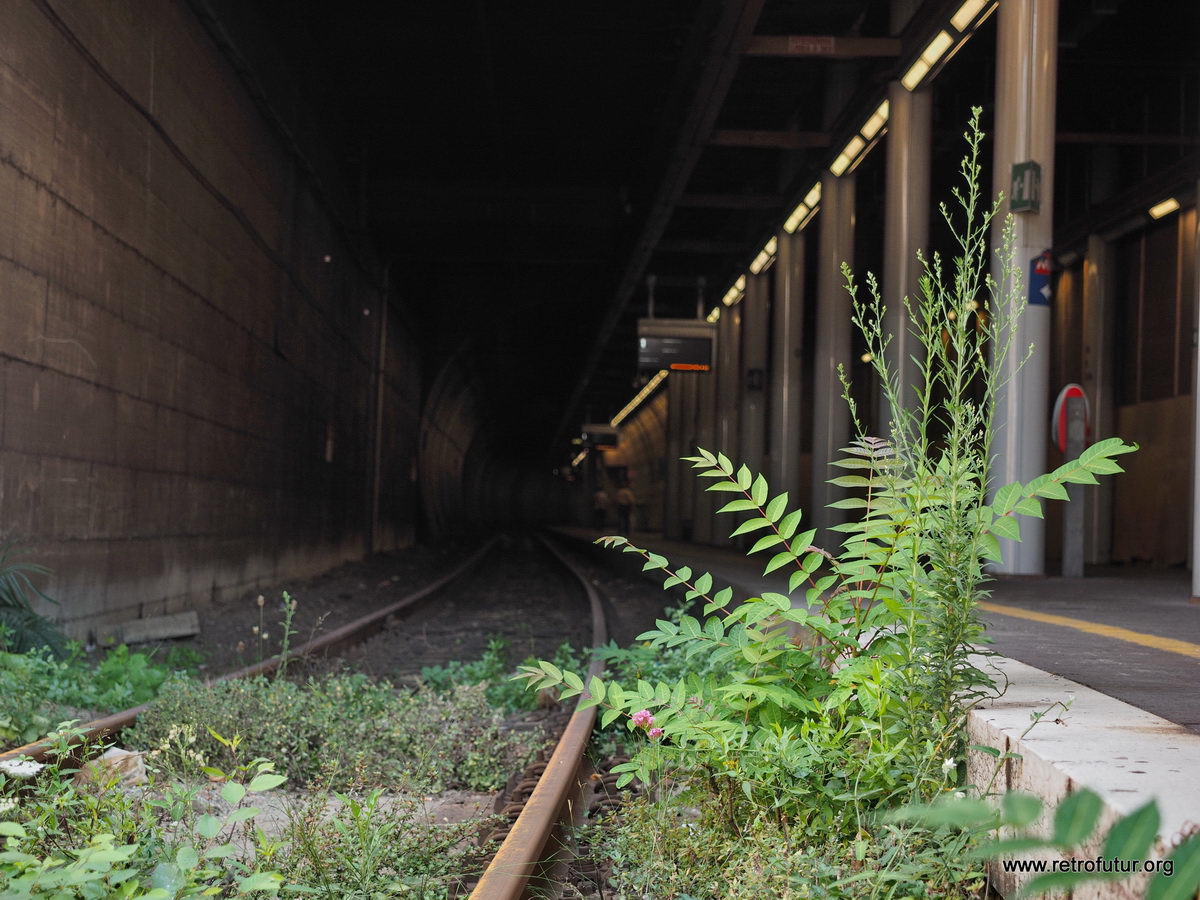 Genova Stazione Principe : genova_stazione_principe_x005_2015-08-07 17-67.jpg