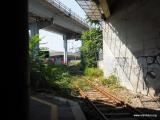 Genova Stazione Principe : genova_stazione_principe_x005_2015-08-07 17-68.jpg