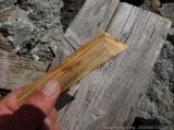Bergwerk : Holzprobe aus dem Stollen