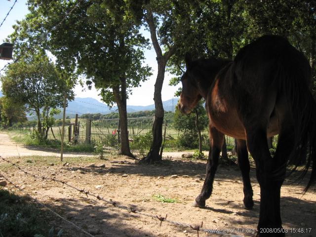 München / Olbia / Bonifacio / Porto Vecchio - Cartalavone : img_kris_2008_05_03 15-48-17_0051.JPG
