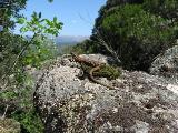 Cartalavone - Levie : img_kris_2008_05_04 11-46-04_0090.JPG