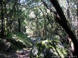 Cartalavone - Levie : img_kris_2008_05_04 11-52-28_0092.JPG
