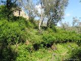 Cartalavone - Levie : img_kris_2008_05_04 16-30-51_0112.JPG