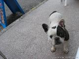 Cartalavone - Levie : img_kris_2008_05_04 18-34-56_0123.JPG