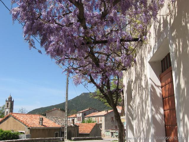 Levie - bavella - Rif.Asinao : img_kris_2008_05_05 12-07-09_0152.JPG