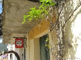 Levie - bavella - Rif.Asinao : img_kris_2008_05_05 12-08-34_0154.JPG