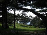 Levie - bavella - Rif.Asinao : img_kris_2008_05_05 14-57-44_0158.JPG