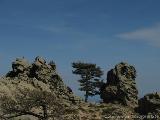 Levie - bavella - Rif.Asinao : img_kris_2008_05_05 15-52-04_0164.JPG