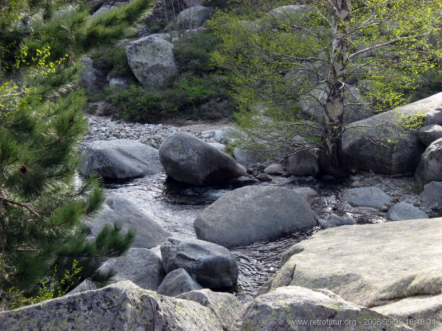 Levie - bavella - Rif.Asinao : img_kris_2008_05_05 18-18-34_0175.JPG