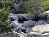 Levie - bavella - Rif.Asinao : img_kris_2008_05_05 18-18-34_0175.JPG