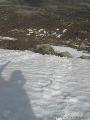 Rif.Asinao - Zicavo : img_kris_2008_05_06 09-58-19_0218.JPG