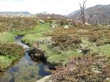 Rif.Asinao - Zicavo : img_kris_2008_05_06 11-13-57_0227.JPG