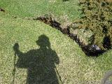Rif.Asinao - Zicavo : img_kris_2008_05_06 11-14-07_0228.JPG