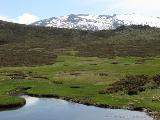 Rif.Asinao - Zicavo : img_kris_2008_05_06 11-29-34_0231.JPG
