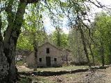Rif.Asinao - Zicavo : img_kris_2008_05_06 12-09-53_0234.JPG