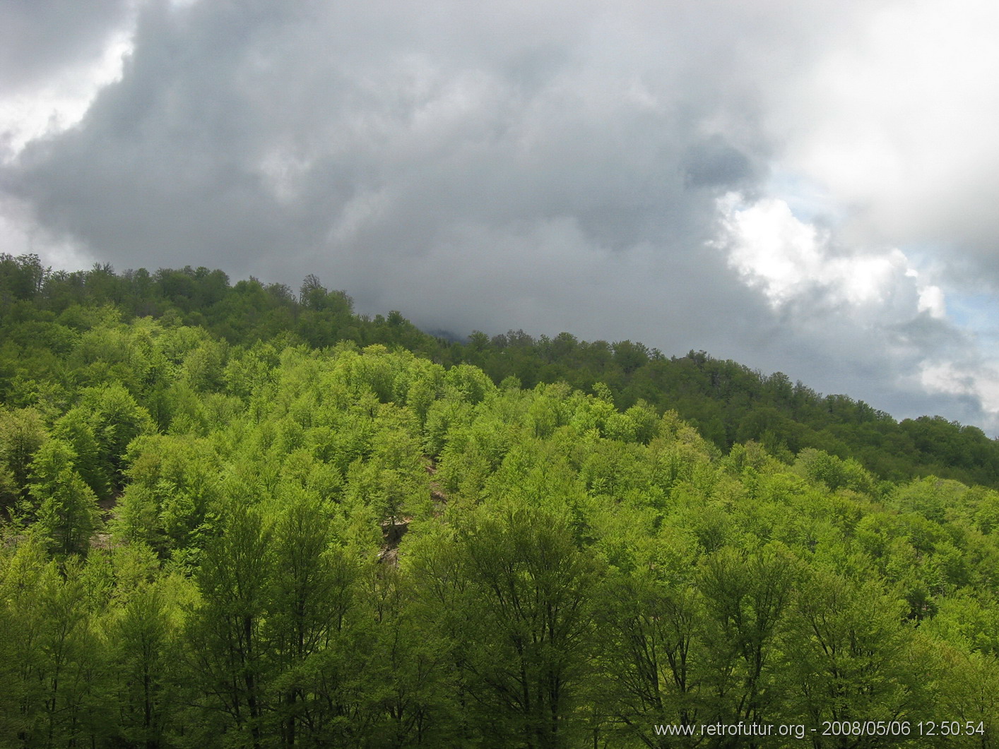 Rif.Asinao - Zicavo : img_kris_2008_05_06 12-50-54_0236.JPG