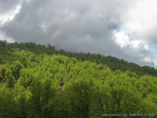 Rif.Asinao - Zicavo : img_kris_2008_05_06 12-50-54_0236.JPG