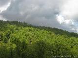 Rif.Asinao - Zicavo : img_kris_2008_05_06 12-50-54_0236.JPG