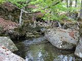 Rif.Asinao - Zicavo : img_kris_2008_05_06 15-19-59_0244.JPG