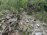 Rif.Asinao - Zicavo : img_kris_2008_05_06 15-58-48_0250.JPG