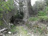 Rif.Asinao - Zicavo : img_kris_2008_05_06 16-03-37_0251.JPG