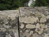 Rif.Asinao - Zicavo : img_kris_2008_05_06 16-43-13_0260.JPG
