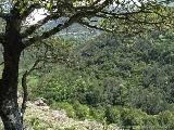 Zicavo - Guitera : img_kris_2008_05_07 12-42-11_0291.JPG