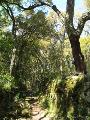 Zicavo - Guitera : img_kris_2008_05_07 15-31-03_0317.JPG