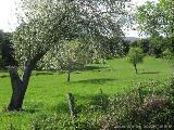 Zicavo - Guitera : img_kris_2008_05_07 15-35-39_0318.JPG
