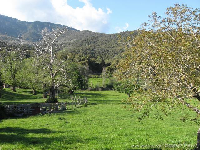 Zicavo - Guitera : img_kris_2008_05_07 17-51-02_0324.JPG
