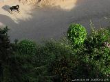 Coti - Porticcio : img_kris_2008_05_09 08-12-46_0370.JPG