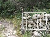 Coti - Porticcio : img_kris_2008_05_09 13-47-35_0393.JPG