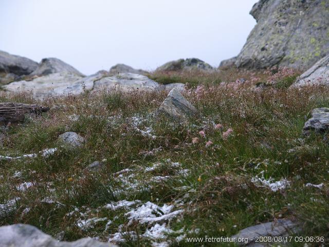 Aufstieg zur Bergstation entlang der 