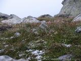 Aufstieg zur Bergstation entlang der 