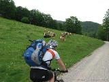 kris_img_2008-05-26 15-16-03_0048.JPG (51.22 KByte) Karwendel Light : kris_img_2008-05-26 15-16-03_0048.JPG