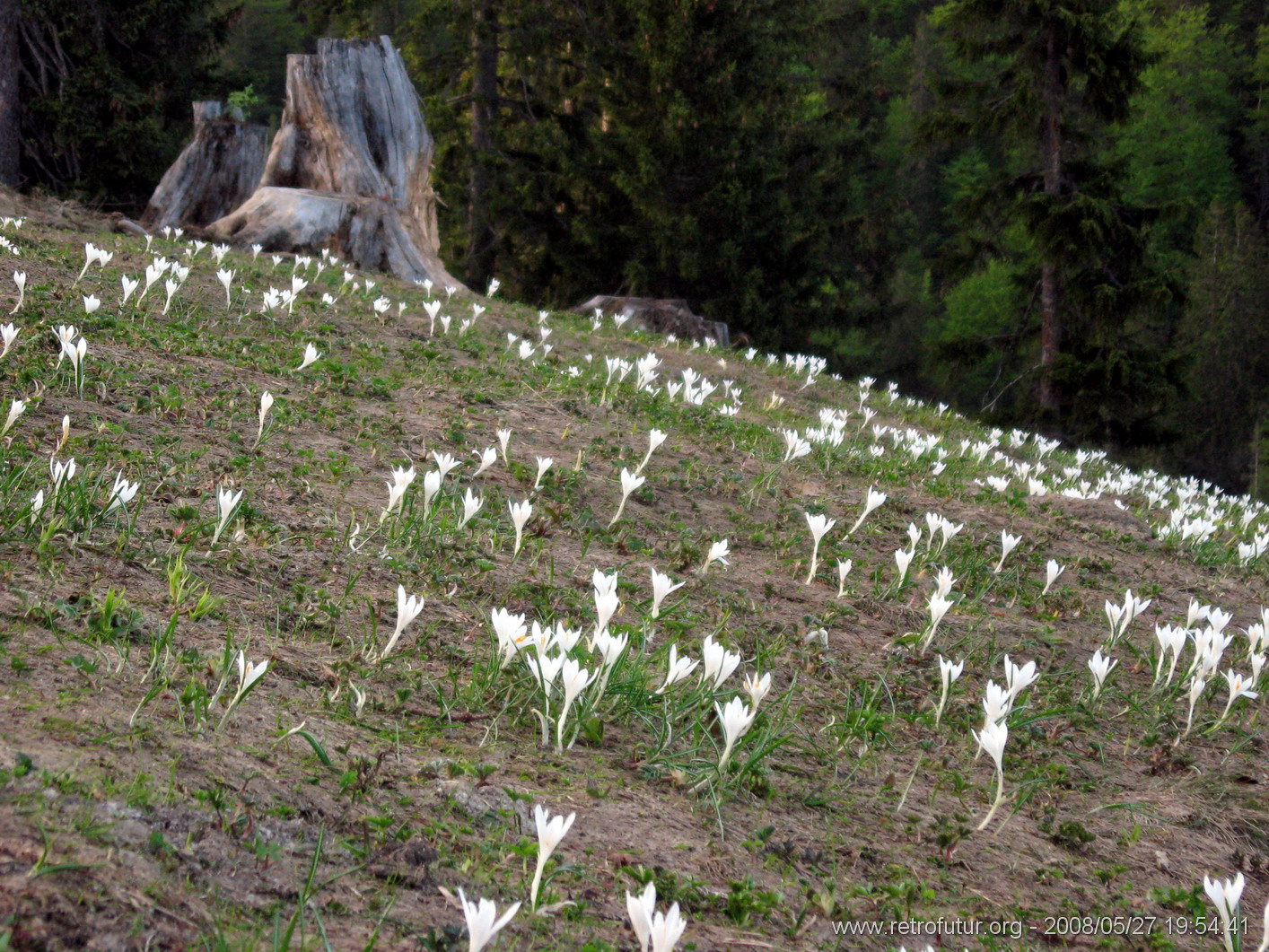 Karwendel Light : Soeben getauter Schnee