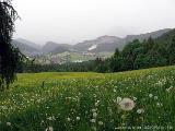 kris_img_2008-05-28 18-24-50_0105.JPG (60.73 KByte) Karwendel Light : kris_img_2008-05-28 18-24-50_0105.JPG
