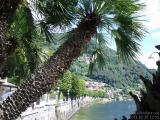 Immer noch Lago Maggiore (96.56 KByte) 30.7. Anreise nach Ventimiglia : Immer noch Lago Maggiore