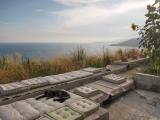Terasse mit Katzenlounge (44.49 KByte) 30.7. Anreise nach Ventimiglia : Terasse mit Katzenlounge