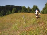 2.8. Colle Melosa - Colle di Nava (Hotel) : ligurien_MTB_105_2011.08.02_10-08.JPG