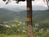 2.8. Colle Melosa - Colle di Nava (Hotel) : ligurien_MTB_142_2011.08.02_16-46.JPG