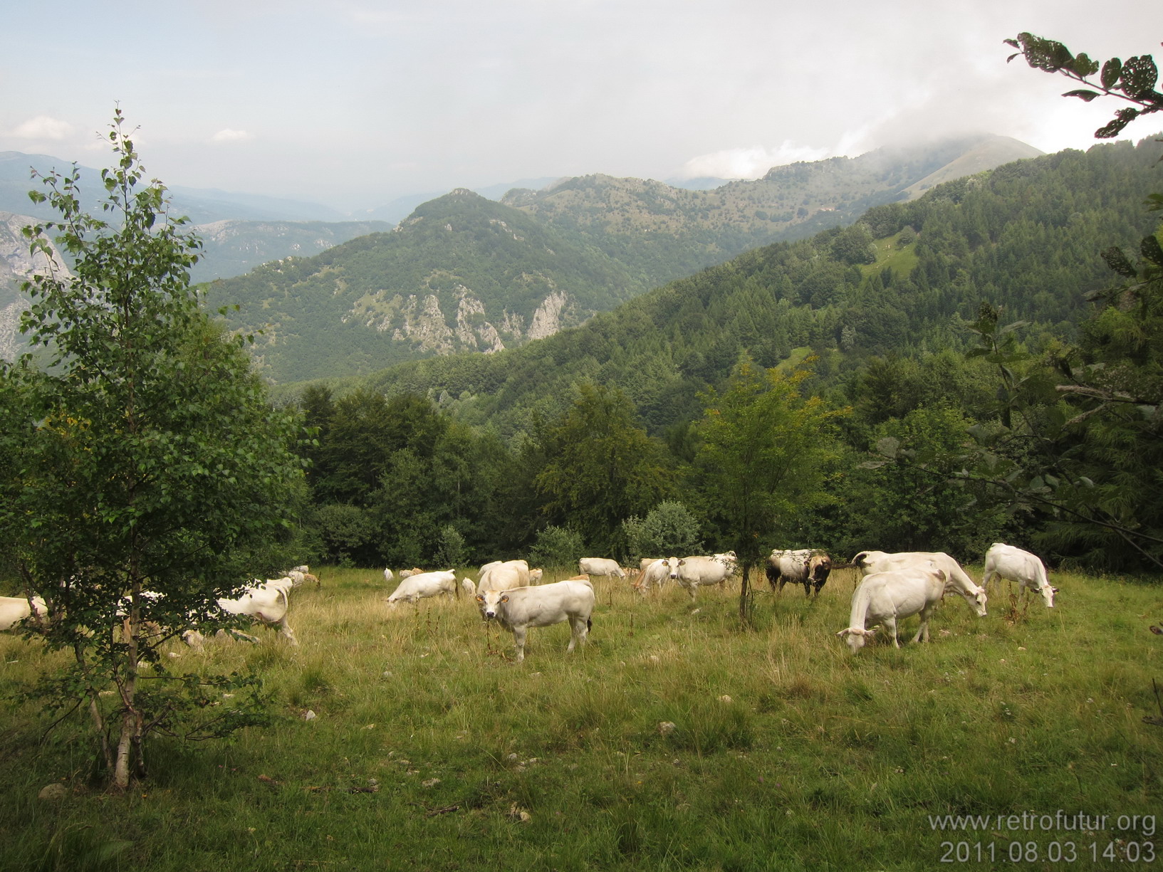 3.8. Colle di Nava - Bardineto (Hotel) : ligurien_MTB_178_2011.08.03_14-03.JPG