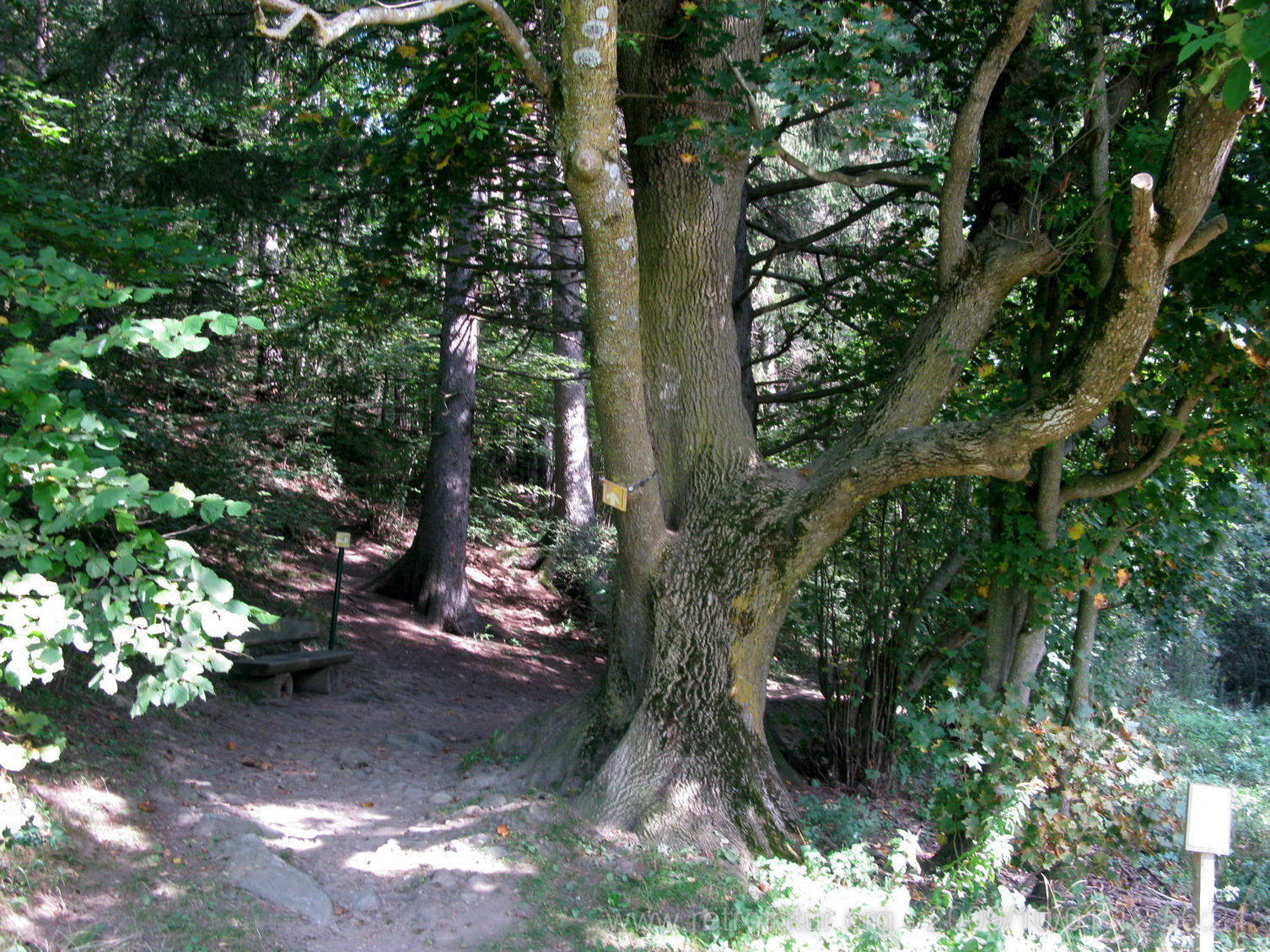 Lanser See und Strassenbahn : lqnserSeeStrassenbahn_009.JPG