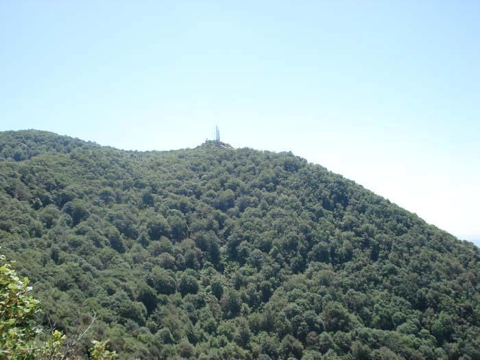 Palombara Sabina (RM) / Cestovia Palombara - San Nicola - Monte Gennaro : Verso la vetta